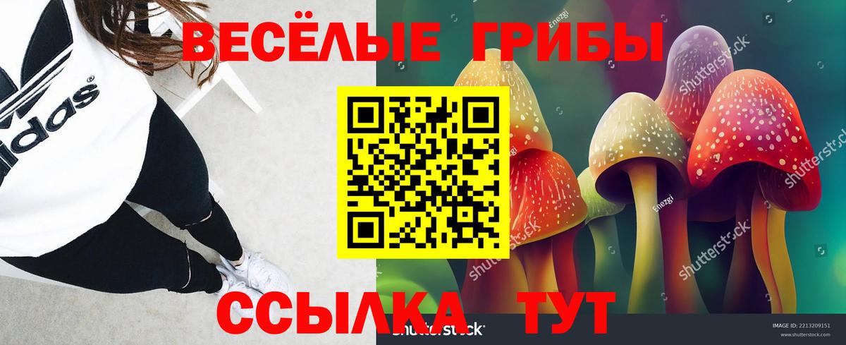 Псилоцибиновые грибы прущие грибы  Псилоцибиновые грибы MAGIC MUSHROOMS  Кизилюрт  Вход с VPN 